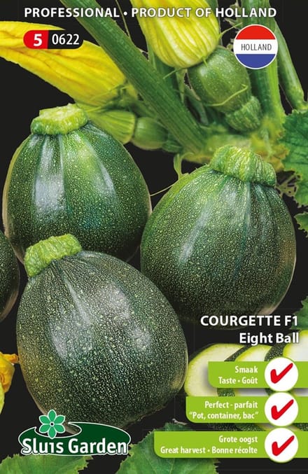 Sierpompoen (Cucurbita pepo) - Courgette Eight Ball F1 - Moestuin - bloeit in Oktober / Juli / Augustus / September