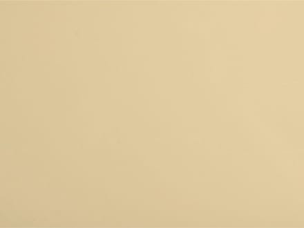Göldo Pickguard blank 1-ply creme 23x41 slagplaat - Pickguard