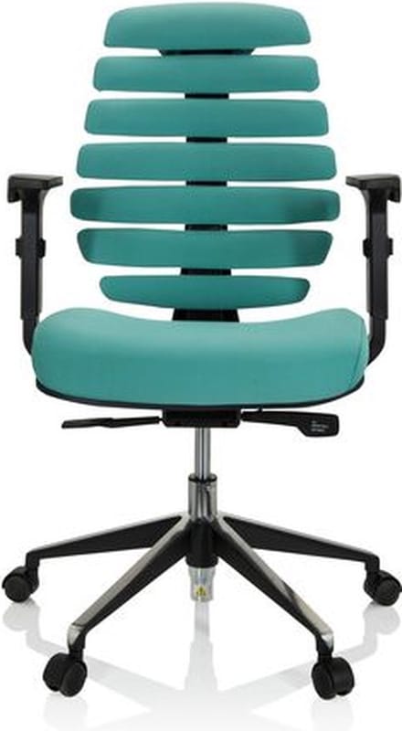 Ergonomische bureaustoel 101 model Ruggengraatstoel in Turquoise