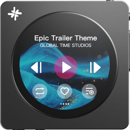 FiiO Snowsky DISC - Zwart