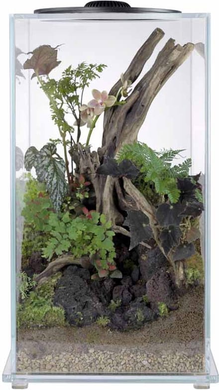Wabi Kusa Bio Tower 220 miniatuurtuin met LED zwart 22 x 41 cm