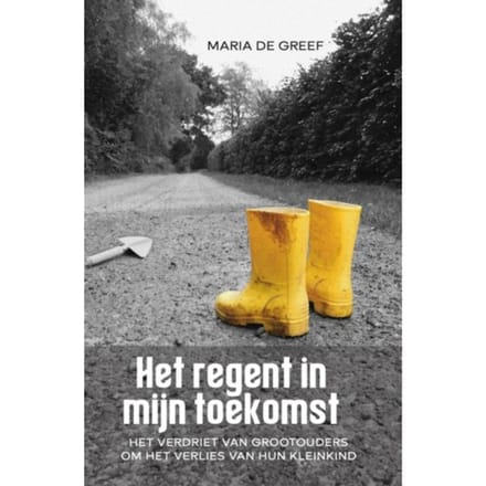 Het Regent In Mijn Toekomst - Maria de Greef