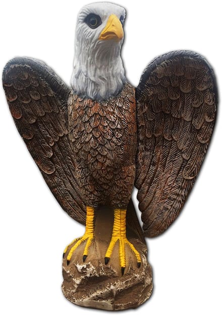 Gevleugelde arend met geluid en lager, Winged Eagle