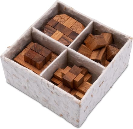Set van 4 Houten 3D Puzzels Hersenbreker in Geschenkdoos