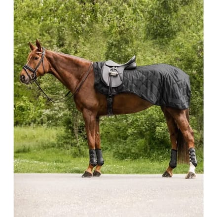 Waterdichte paardendekens Waldhausen Exclusive
