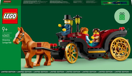 LEGO Iconic 40603, Bouwpakket, 9 jaar, Kunststof, 153 stuk(s), 238 g