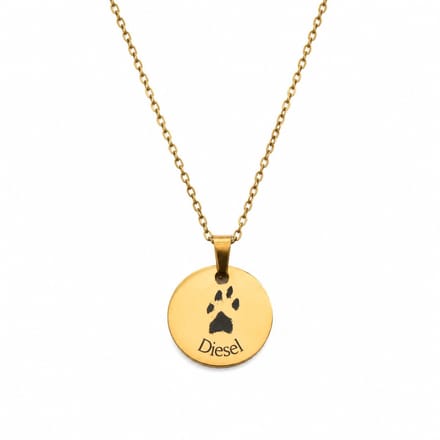 Ketting met Pootafdruk en Naam Goud