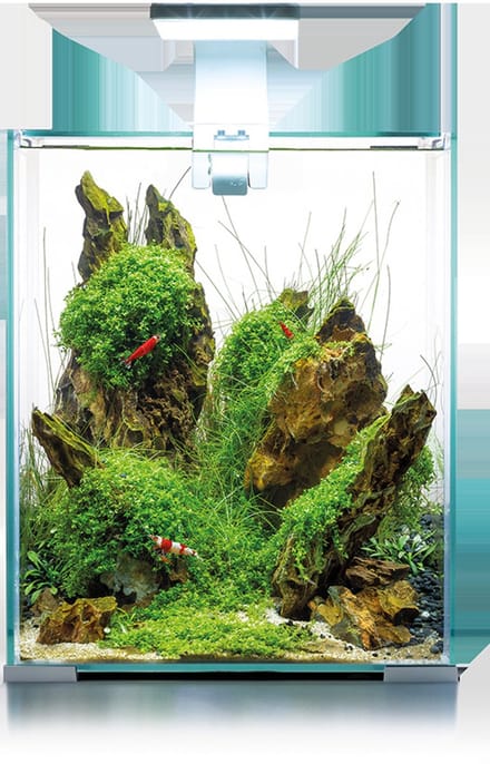 Aquael Shrimp Set Dag & Nacht 20 | 19L | 25 x 25 x 30CM Wit