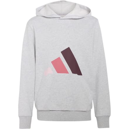 Adidas Essentials Hoodie Grijs 15-16 Years Kinderen