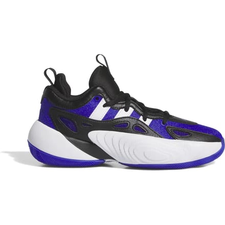 Basketbalschoenen voor kinderen adidas Trae Unlimited