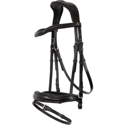 Anatomische hoofdstellen BR Equitation Luton
