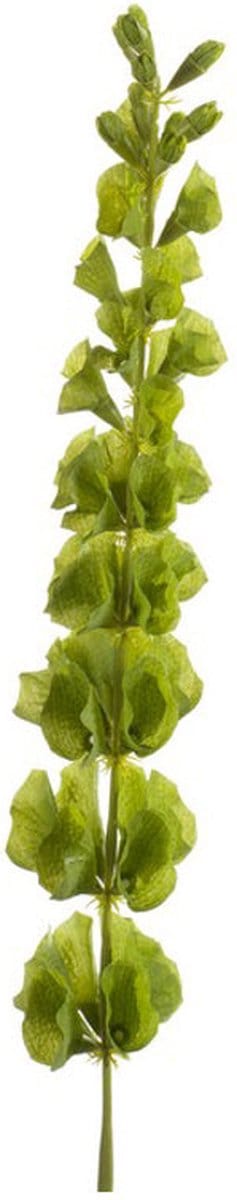 Emerald - Kunsttak Molucella 80cm - Kunstplant voor binnen