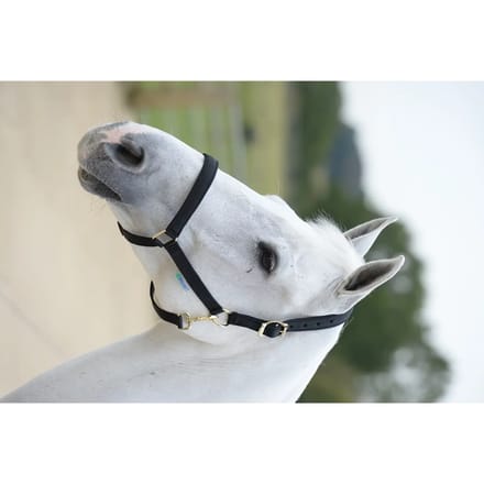 Bucas Halster Bucas Dublin Black-black