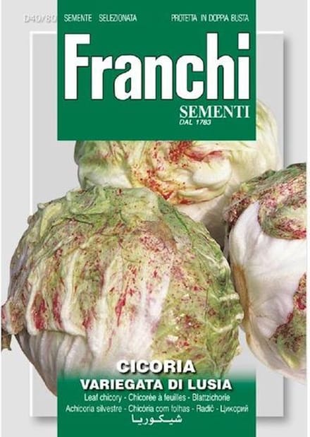 Franchi - Cichorei, Cicoria var.di Lusia 40/80