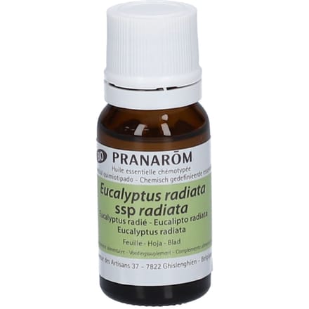 Pranarôm Etherische Olie Eucalyptus Radiata Bio | Luchtwegen 10 olie