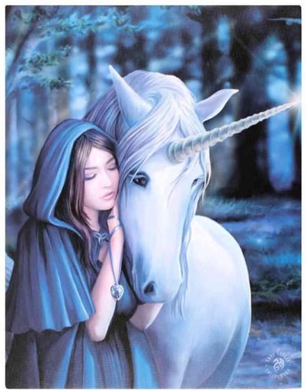Anne Stokes - Solace - Canvas afbeelding
