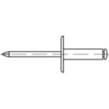 TOOLCRAFT 160163 Open popnagel (Ø x l) 5 mm x 30 mm Aluminium Staal 100 stuk(s)