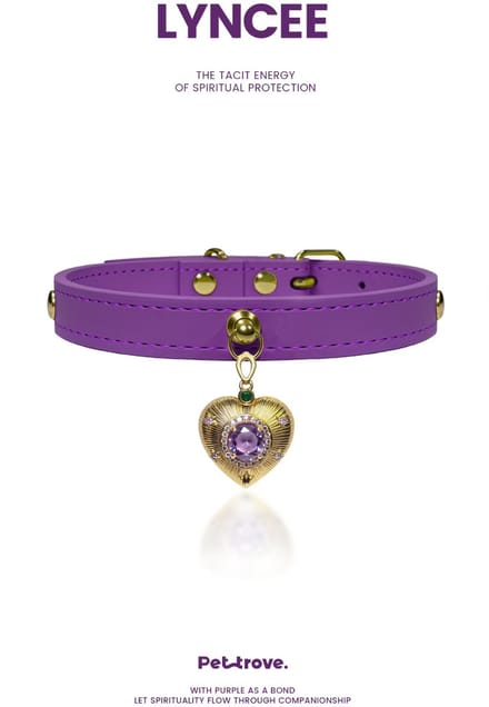 Halsband Pettrove Suede Goud Paars Hart