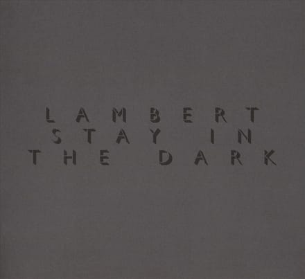 Stay In The Dark