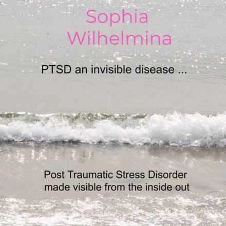 Ptsd An Invisible Disease ... - Sophia Wilhelmina