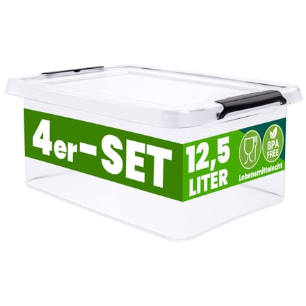 Deuba Opbergox - Set van 4 Stapelbaar 39x29x17cm 12,5L - Transparant