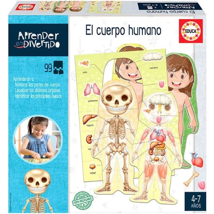 Educatieve spelletjes Educa Borras The Human Body