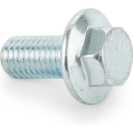 Screw