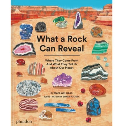 What A Rock Can Reveal - Maya Wei-Haas