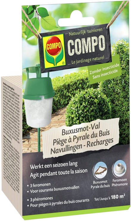 COMPO Buxusmotval Navullingen - feromonen - 3 stuks