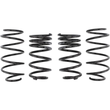 Ophangset, veren Pro-Kit EIBACH E10-56-001-02-22