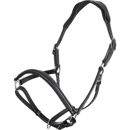 Halster voor paarden HV Polo Legacy