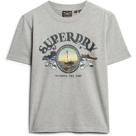 Superdry TRAVEL SOUVENIR RELAXED TEE Dames - Grijs - Maat M