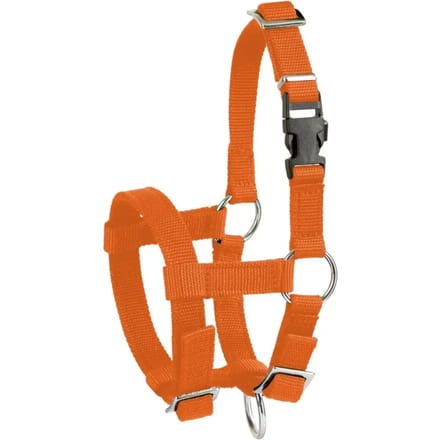 Kerbl Alpaca Halster Oranje