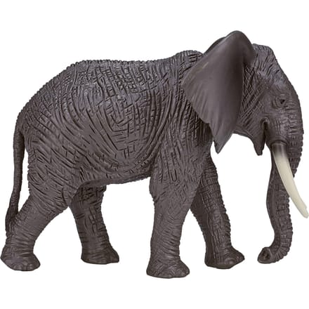 Mojo - Wildlife African Elephant - 387189