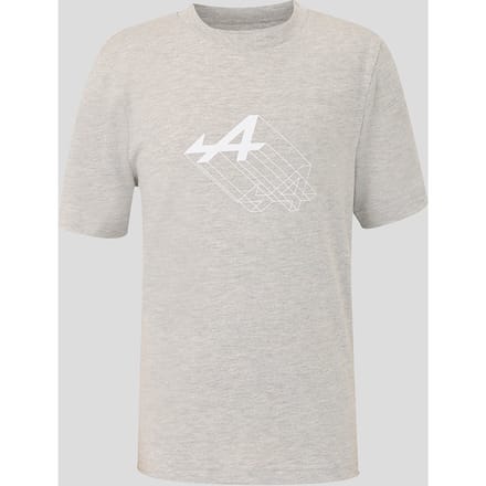 Bwt Alpine Junior Regular Fit Graphic T-shirt – Grey Marl