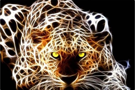 Diamond painting 30x40cm - panther ( ronde steentjes )