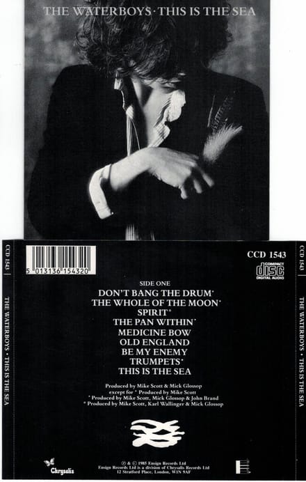 Waterboys - This Is the Sea (CD)