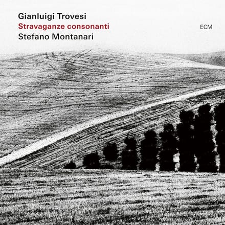 Gianluigi Trovesi, Stefano Montanari - Stravaganze Consonanti (CD)