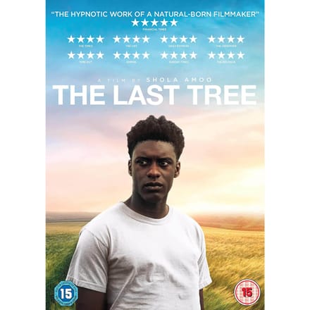 The Last Tree
