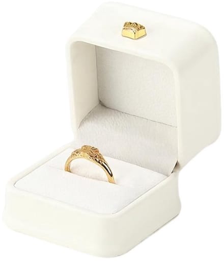 Dailygoody - Pu Leren Ringdoos - Elegante opbergdoos - voor Verloving