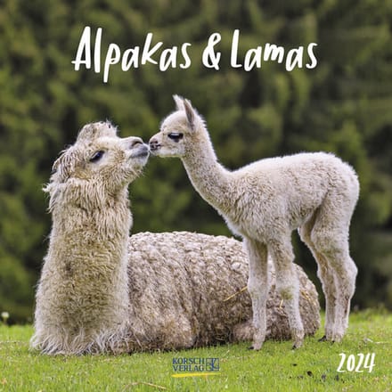 Alpaca Kalender 2024