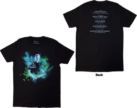 David Gilmour - Luck & Strange Rome Heren T-shirt - S - Zwart