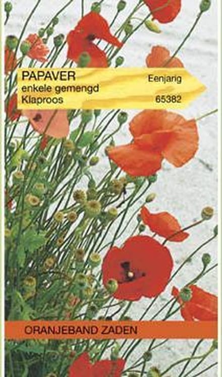 Oranjebandzaden -  Papaver, Klaproos enkelbloemig Shirley