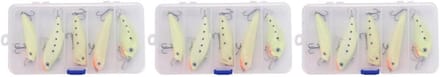 Forel Lokt Set - Vis Aas - Vissen Op Zee - Bionisch Ontwerp - 15 Stuks - Multicolor