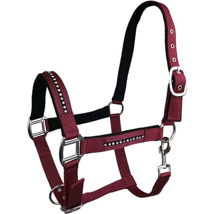 Halster voor paarden York Quartz