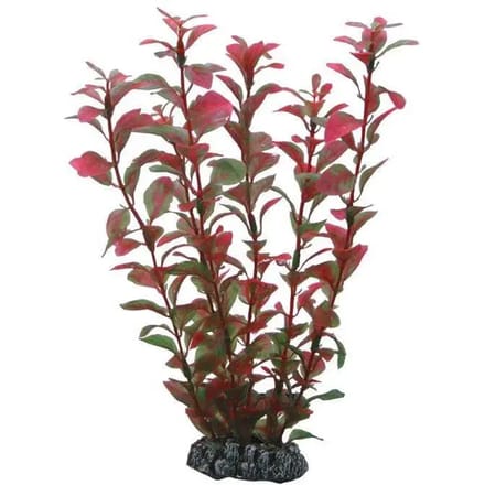 Aquarium accessoires Hobby Ludwigia