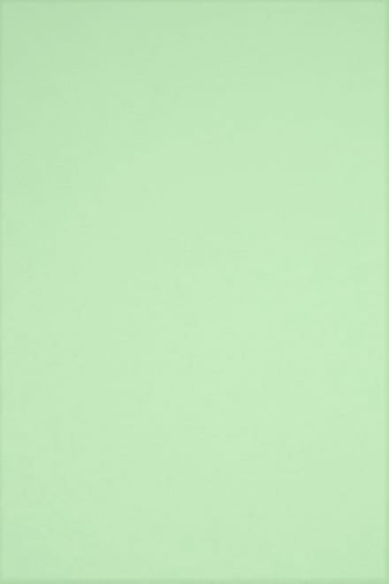 Netuno - groen glad gekleurd papier - A4 - 21 x 29,7 cm - 20 vellen - 230 gram - Rainbow Medium Green R75