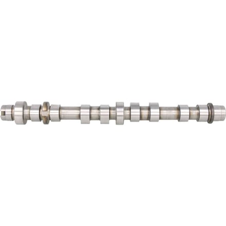 Nokkenas  AE CAM945