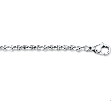 TFT Collier Staal Jasseron 3,0 mm