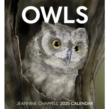 Owls - Chappell, Jeannine